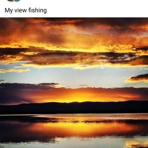 Meet your Posher, Jacquelyne